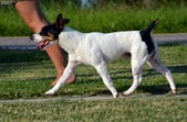 Enlarge photo 17