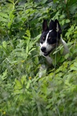 Enlarge photo 10