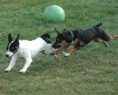 Enlarge photo 175