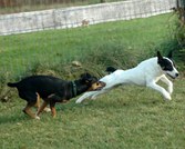 Enlarge photo 172