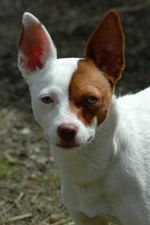 3b's Whirlwind Romance-retired