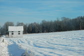 The homestead