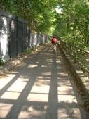 Enlarge photo 25