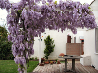 Enlarge photo 1