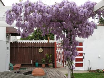 Enlarge photo 22
