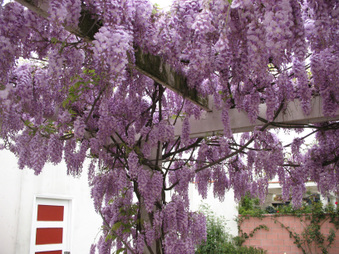 Enlarge photo 23