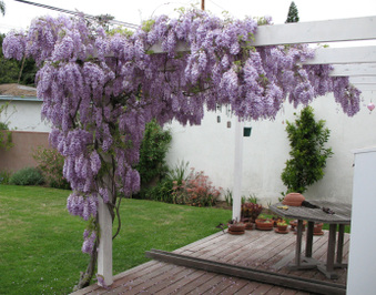 Enlarge photo 24