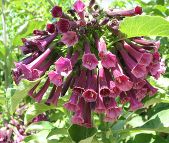 Enlarge photo 34