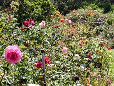 Enlarge photo 9