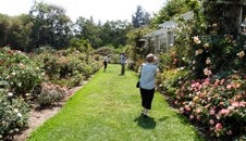 Enlarge photo 8