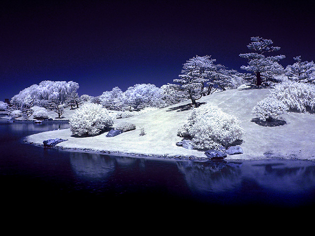 Return to Album