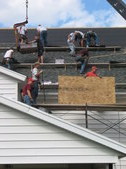 Enlarge photo 120