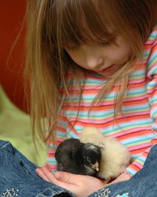 Tender Loving Care, Copyright iStockphoto.com/Jennifer Daley