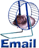 hamsterwheel