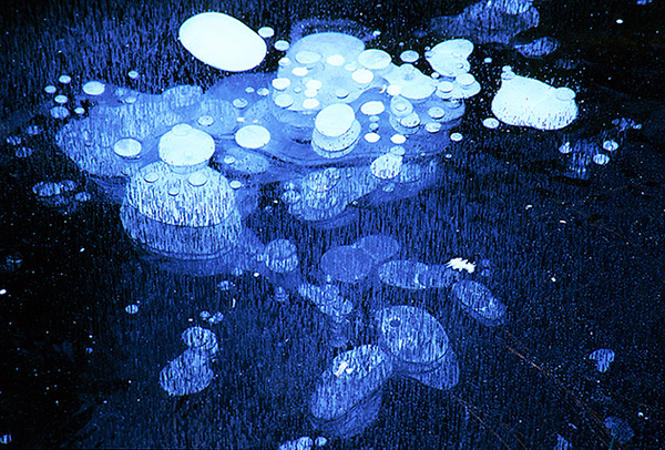 Frozen Bubbles, Copyright 2007, Anna McDole