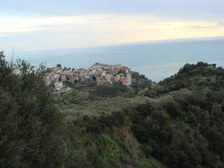 Enlarge photo 66