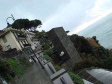 Enlarge photo 57