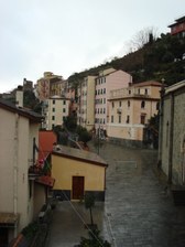 Enlarge photo 61