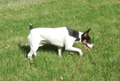Enlarge photo 4