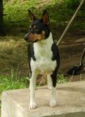 Enlarge photo 9