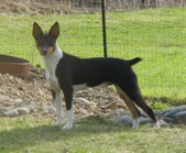Enlarge photo 16