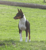 Enlarge photo 15