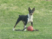 Enlarge photo 14