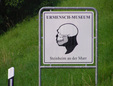 Steinheim and Murr