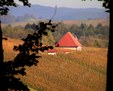 Korber Kopf
