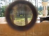 Enlarge photo 207