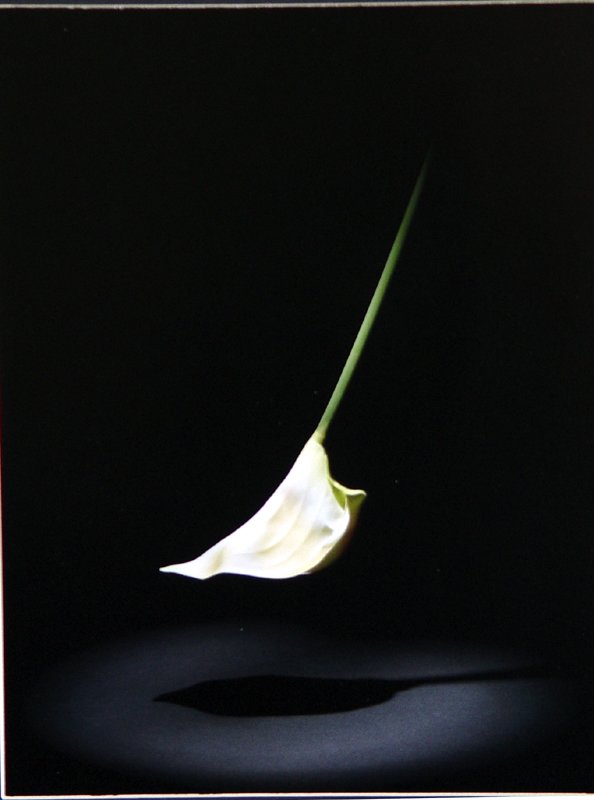 Return to Album