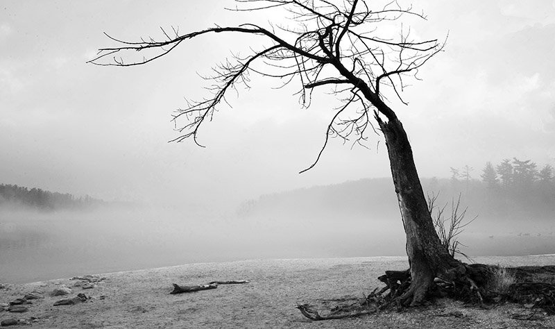 Return to Album