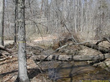 2004.04