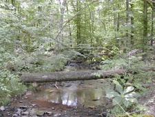 2004.06
