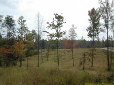 Enlarge photo 1