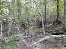 Enlarge photo 18