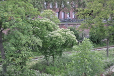 Enlarge photo 67