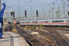 Enlarge photo 46