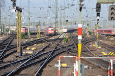 Enlarge photo 52