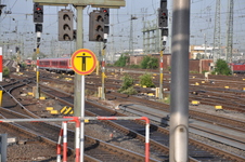 Enlarge photo 53