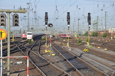 Enlarge photo 55