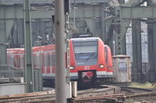Enlarge photo 137