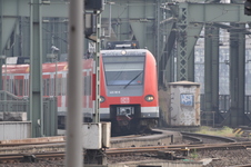 Enlarge photo 153