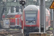 Enlarge photo 159