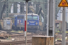 Enlarge photo 170