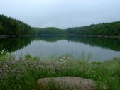 My Gallery Pictures