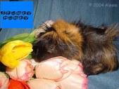 Enlarge photo 24