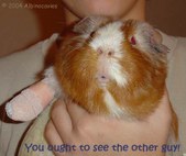 Enlarge photo 25