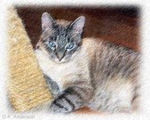 Enlarge photo 132