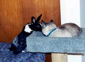 Enlarge photo 128